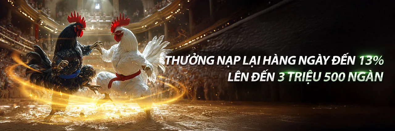 Hình ảnh giới thiệu Biendo88, nền tảng cá cược trực tuyến hàng đầu