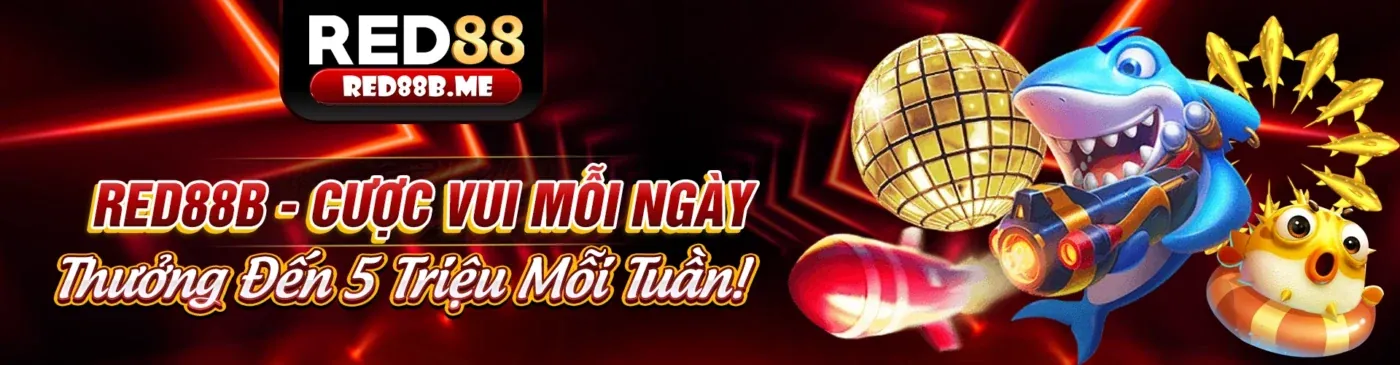 Chính sách quyền riêng tư của tải biendo88